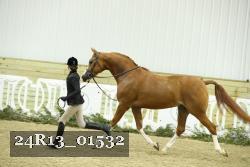 24R13_01532 thumbnail