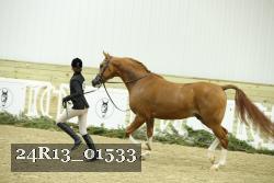 24R13_01533 thumbnail