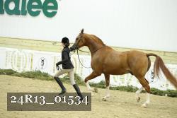 24R13_01534 thumbnail