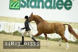 24R13_01535 thumbnail