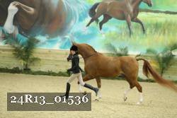 24R13_01536 thumbnail