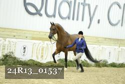 24R13_01537 thumbnail