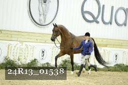 24R13_01538 thumbnail