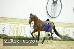 24R13_01539 thumbnail