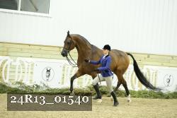 24R13_01540 thumbnail