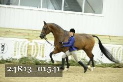 24R13_01541 thumbnail