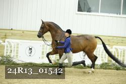 24R13_01542 thumbnail