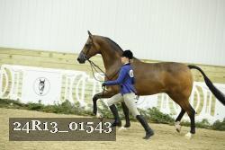 24R13_01543 thumbnail