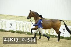 24R13_01544 thumbnail