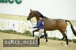 24R13_01545 thumbnail