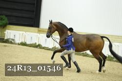 24R13_01546 thumbnail