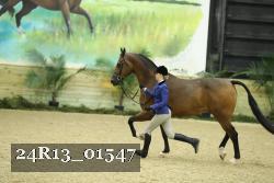 24R13_01547 thumbnail