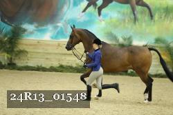 24R13_01548 thumbnail