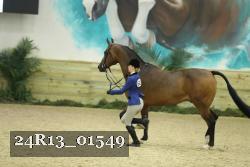 24R13_01549 thumbnail