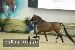 24R13_01550 thumbnail