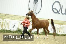 24R13_01551 thumbnail