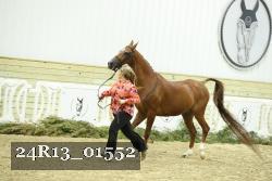 24R13_01552 thumbnail