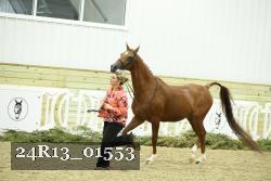 24R13_01553 thumbnail