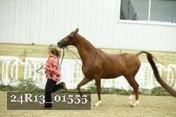 24R13_01555 thumbnail