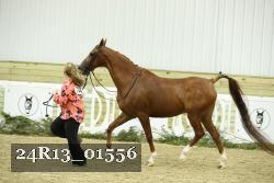 24R13_01556 thumbnail