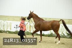 24R13_01557 thumbnail