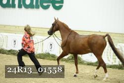 24R13_01558 thumbnail