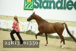 24R13_01559 thumbnail