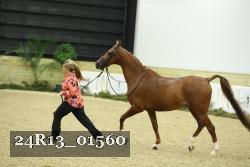24R13_01560 thumbnail