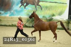 24R13_01561 thumbnail