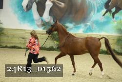 24R13_01562 thumbnail