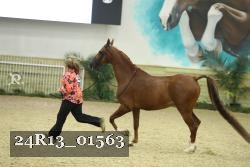 24R13_01563 thumbnail