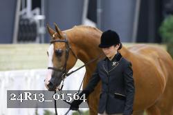 24R13_01564 thumbnail