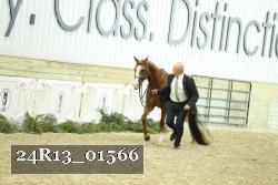24R13_01566 thumbnail