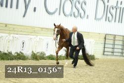 24R13_01567 thumbnail