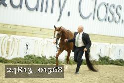 24R13_01568 thumbnail