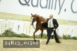24R13_01569 thumbnail