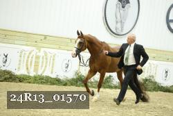 24R13_01570 thumbnail