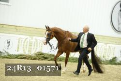 24R13_01571 thumbnail