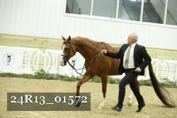 24R13_01572 thumbnail