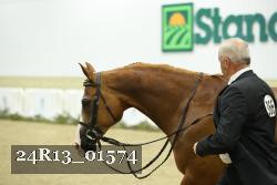 24R13_01574 thumbnail
