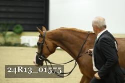 24R13_01575 thumbnail
