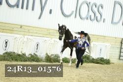 24R13_01576 thumbnail