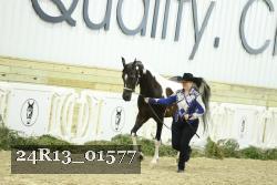 24R13_01577 thumbnail
