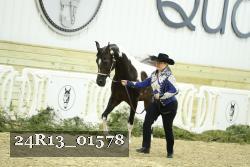 24R13_01578 thumbnail