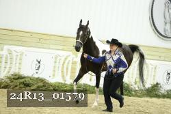 24R13_01579 thumbnail