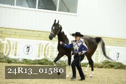 24R13_01580 thumbnail