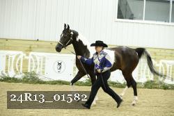 24R13_01582 thumbnail