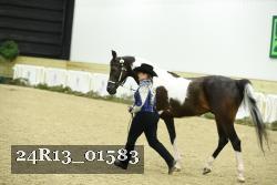 24R13_01583 thumbnail