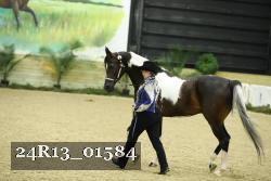 24R13_01584 thumbnail