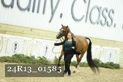 24R13_01585 thumbnail